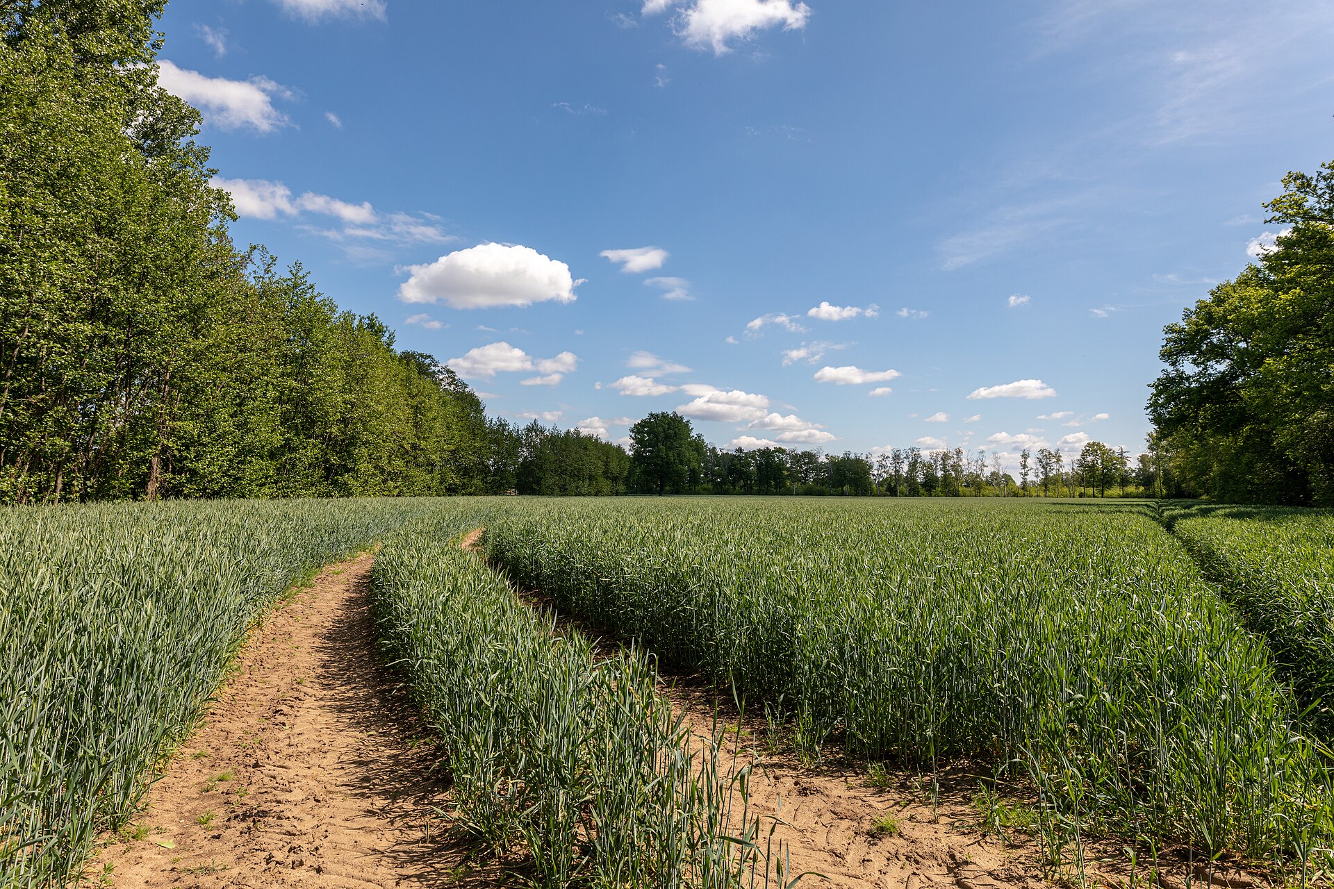 Landwirtschaftliche Bewirtschaftung auf Agrargrund in Deutschland